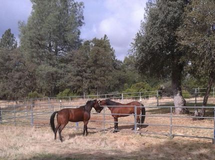 Please Call For Address, Georgetown, CA 95634 Photo