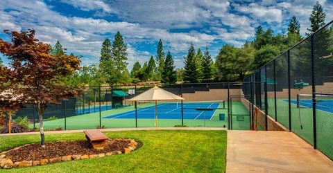 1306 Shady Tree Ln, Meadow Vista, CA 95722 Photo