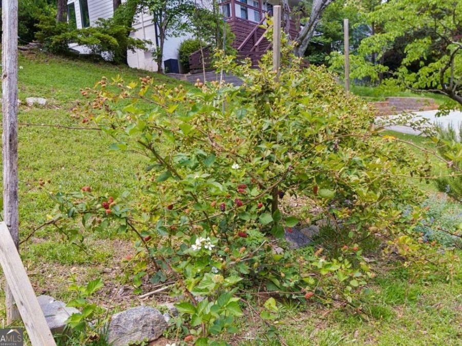 Property Image 51