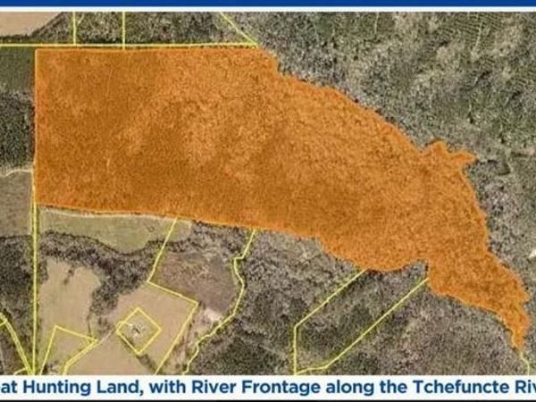 220 Acres Z MCDANIEL Road , Kentwood, LA 70444