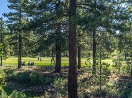 10173 Annies Loop, Truckee, CA 96161 Photo