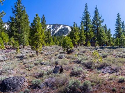 735 John Mckinney, Truckee, CA 96161 Photo