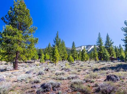 735 John Mckinney, Truckee, CA 96161 Photo