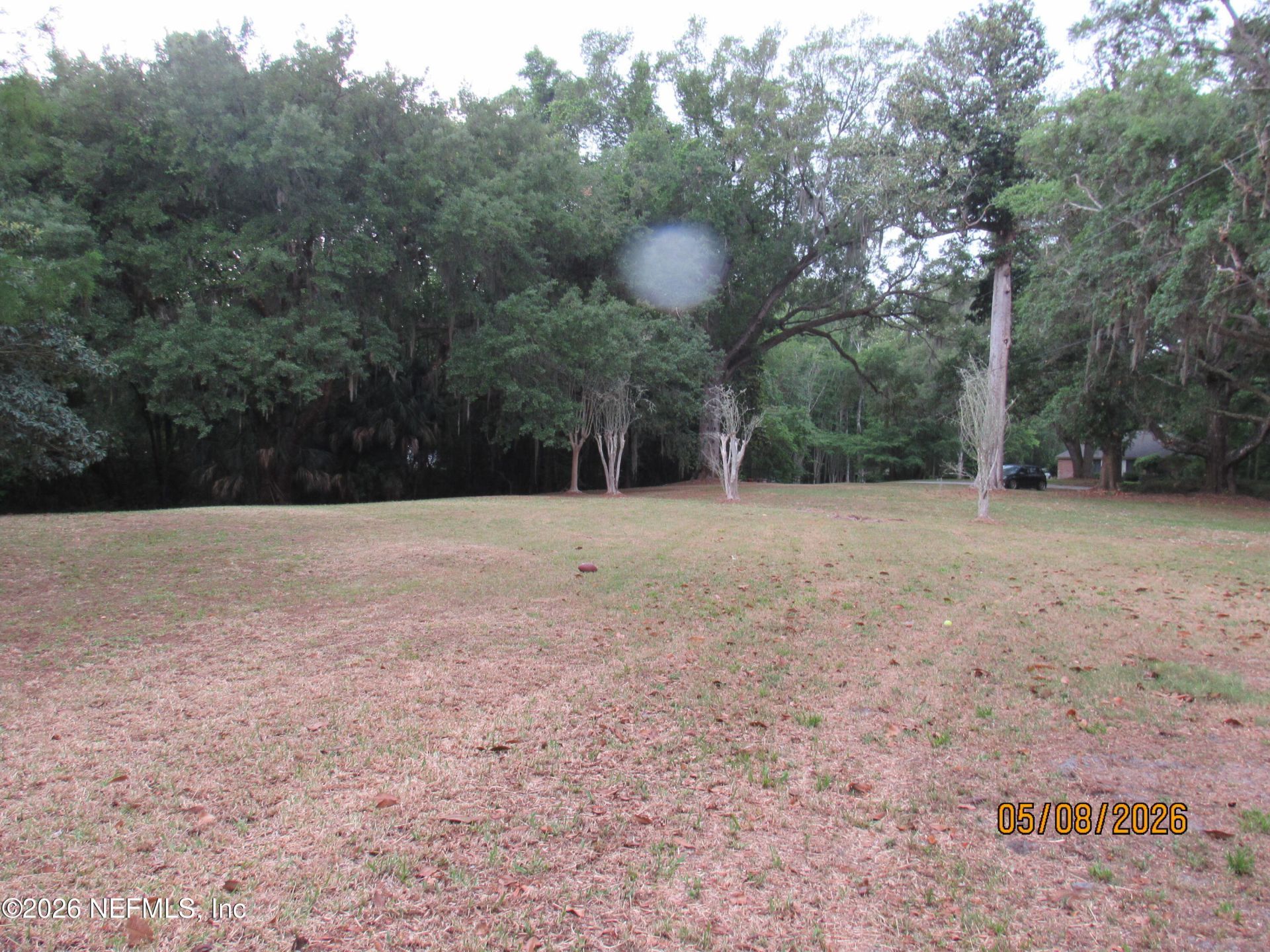 237 Adams Lane, Fleming Island, FL 32003 Photo
