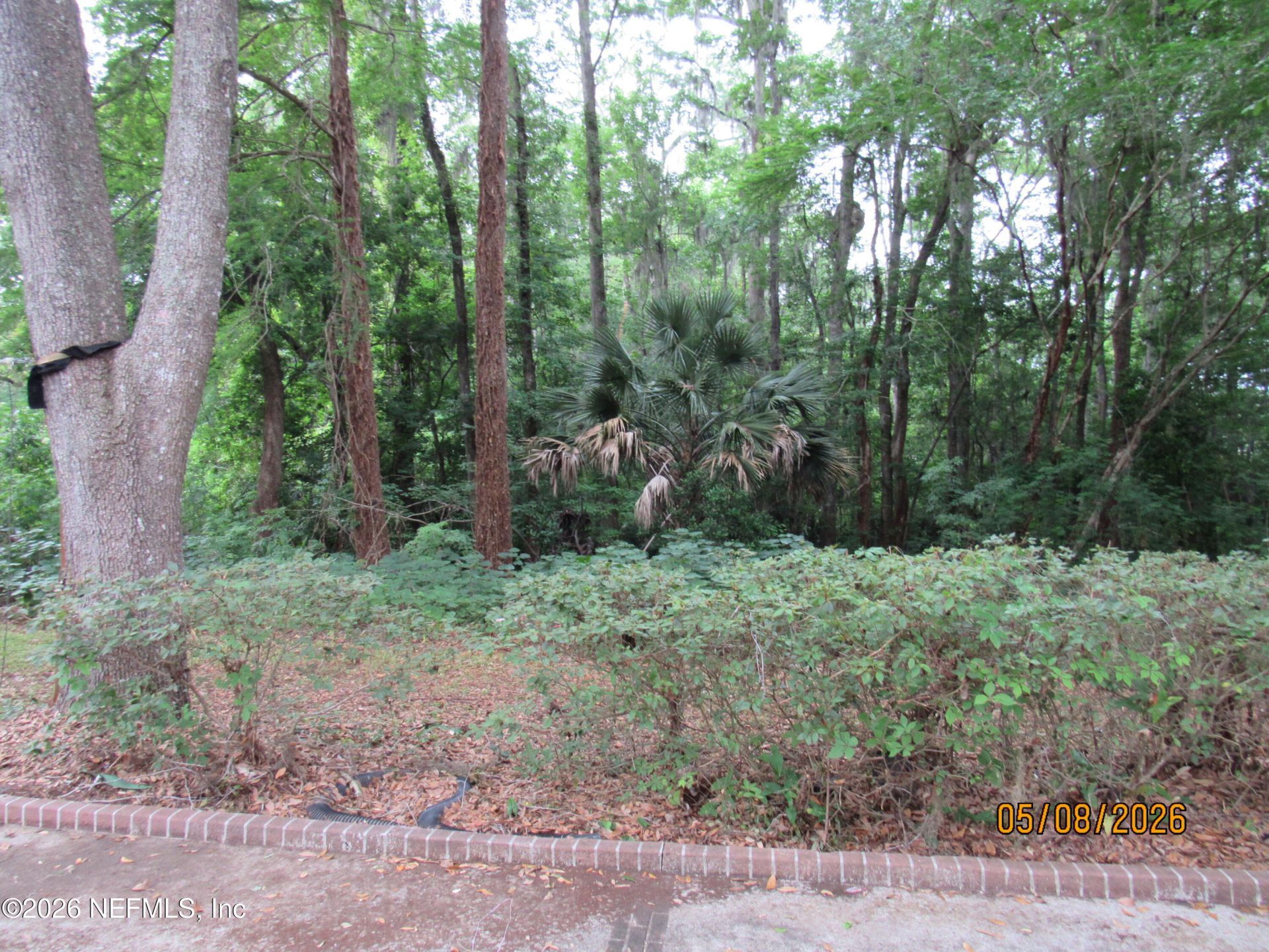 237 Adams Lane, Fleming Island, FL 32003 Photo
