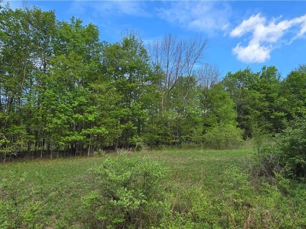 Adams Hill Road, Hobart, NY 12167