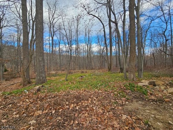 34 Starlight Dr, Morris, NJ 07960
