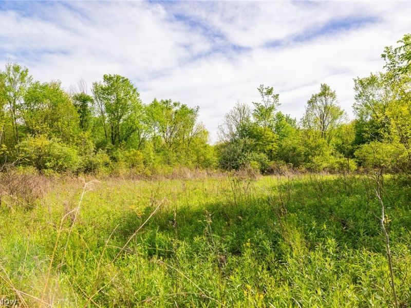 11154 Shetler Avenue SW, Bolivar, OH 44612 Photo 36