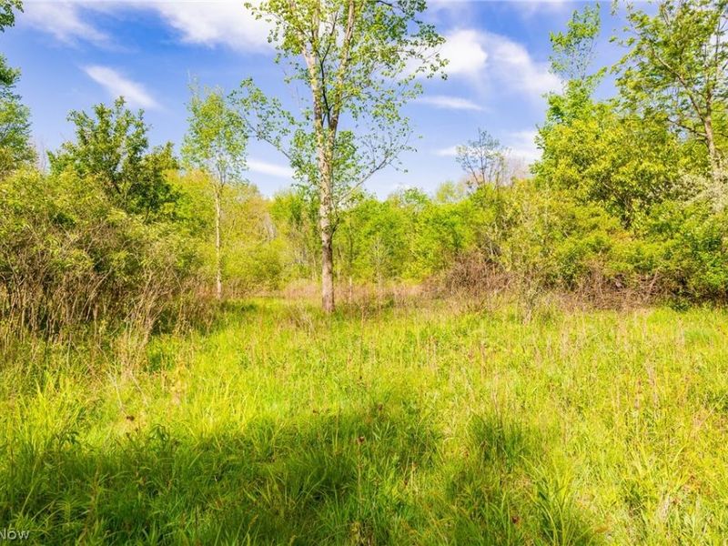 11154 Shetler Avenue SW, Bolivar, OH 44612 Photo 37