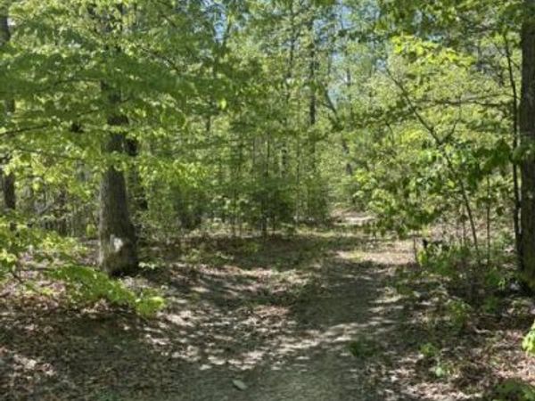 DAVIS LANE, ARODA, VA 22709