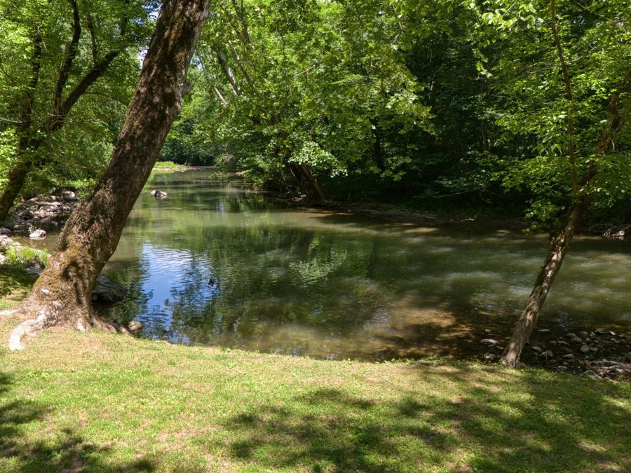 Property Image 69