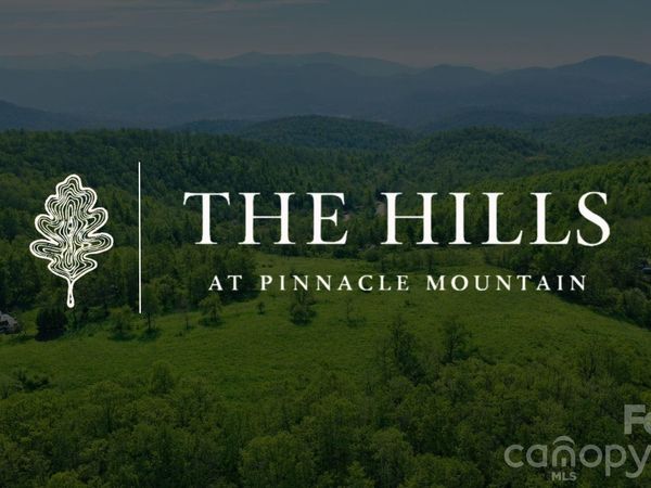 4105 Pinnacle Mountain Road , Zirconia, NC 28790