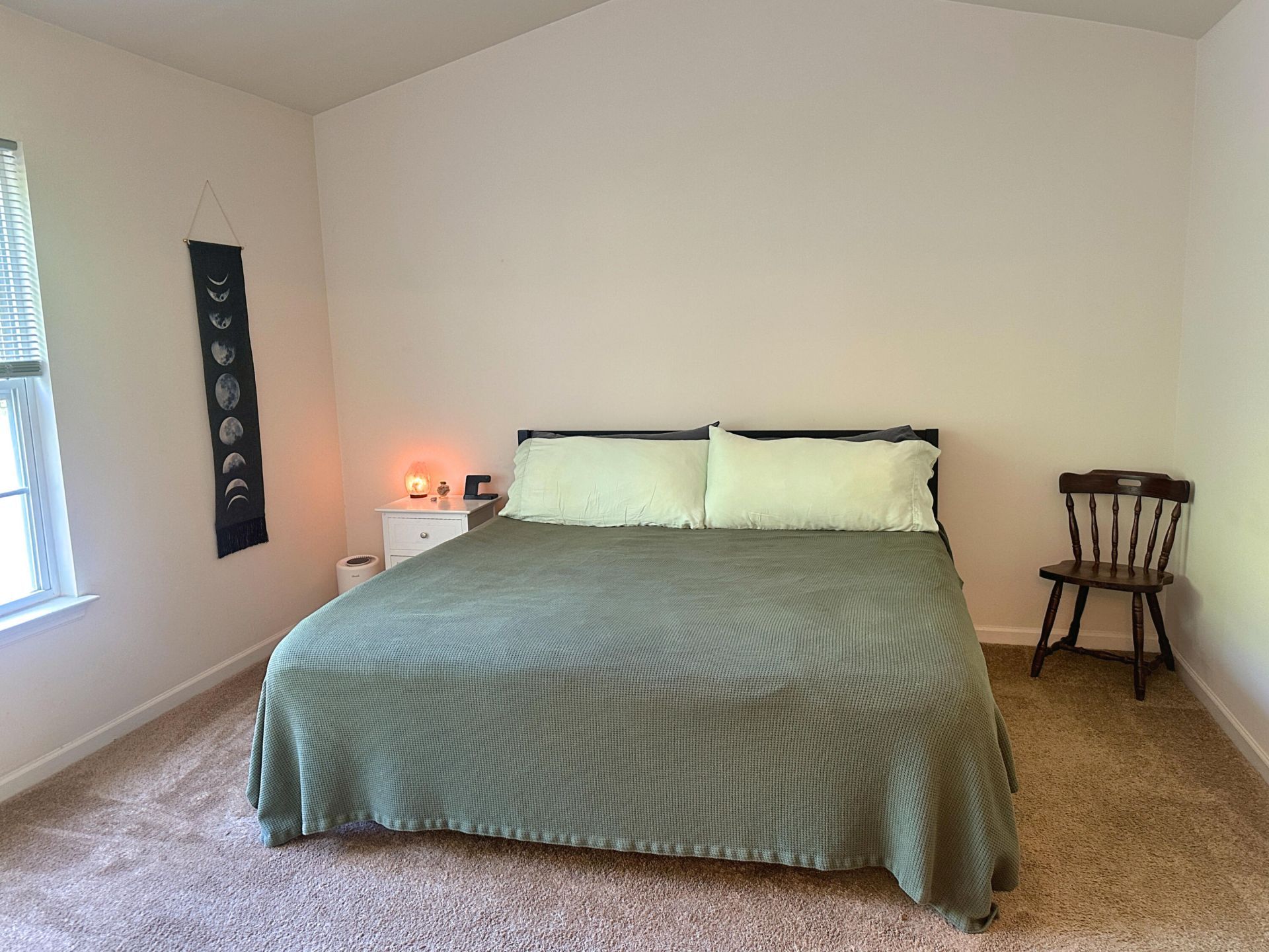 1204 Pine Bluff Drive Photo 18