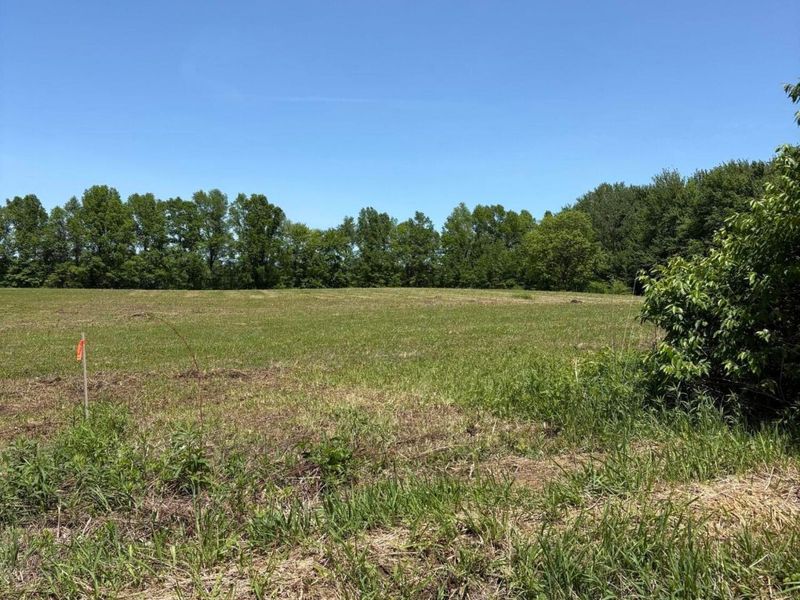 0 County Road 124 , Unit Tract #2, Cardington, OH 43315 Photo 2