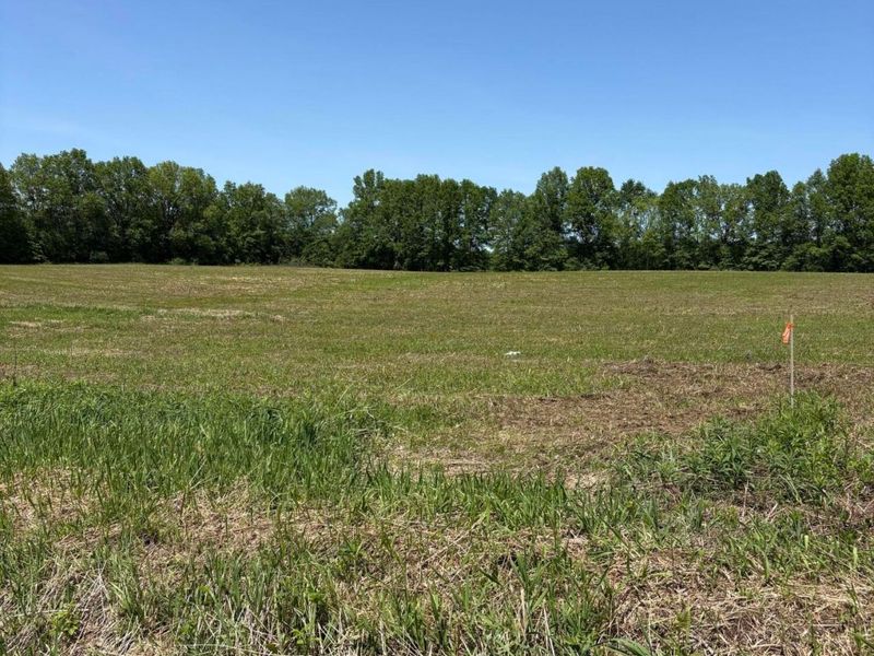 0 County Road 124 , Unit Tract #3, Cardington, OH 43315 Photo 2