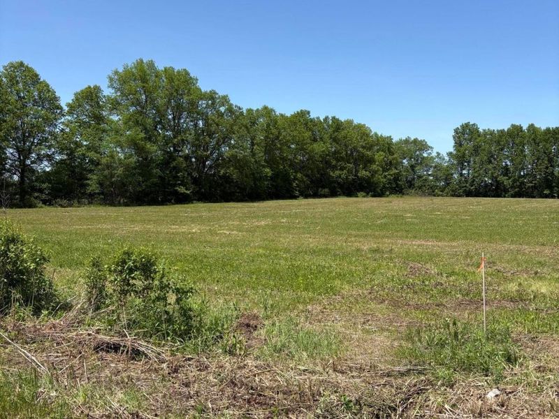 0 County Road 124 , Unit Tract #4, Cardington, OH 43315 Photo 2