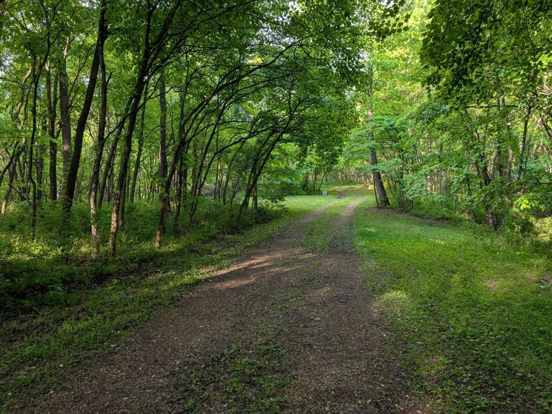12710 Jack Run Road, Rockbridge, OH 43149 Photo 37