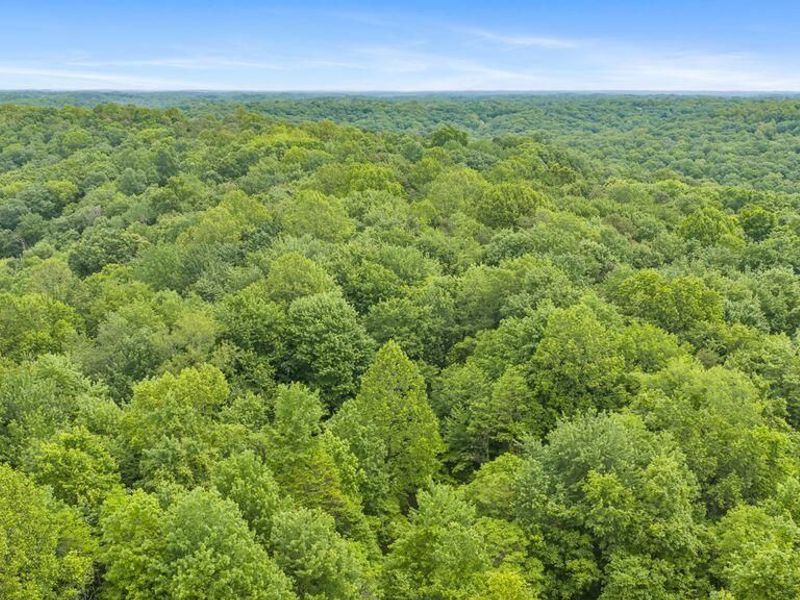 12710 Jack Run Road, Rockbridge, OH 43149 Photo 39