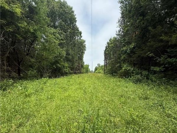 SE 1100 Road, Deepwater, MO 64760