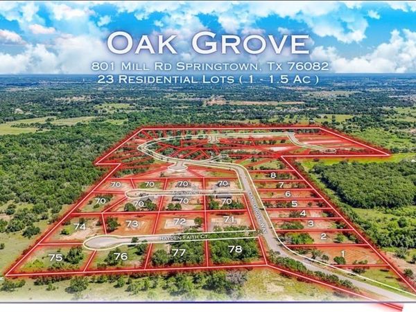 181 Oak Grove Way, Springtown, TX 76082