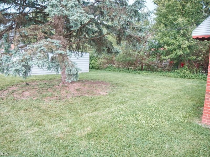 7507 Arden Avenue, Parma, OH 44129 Photo 27