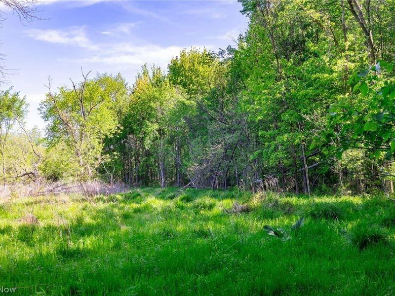 11154 Shetler Avenue SW, Unit 5, Bolivar, OH 44612 Photo 31