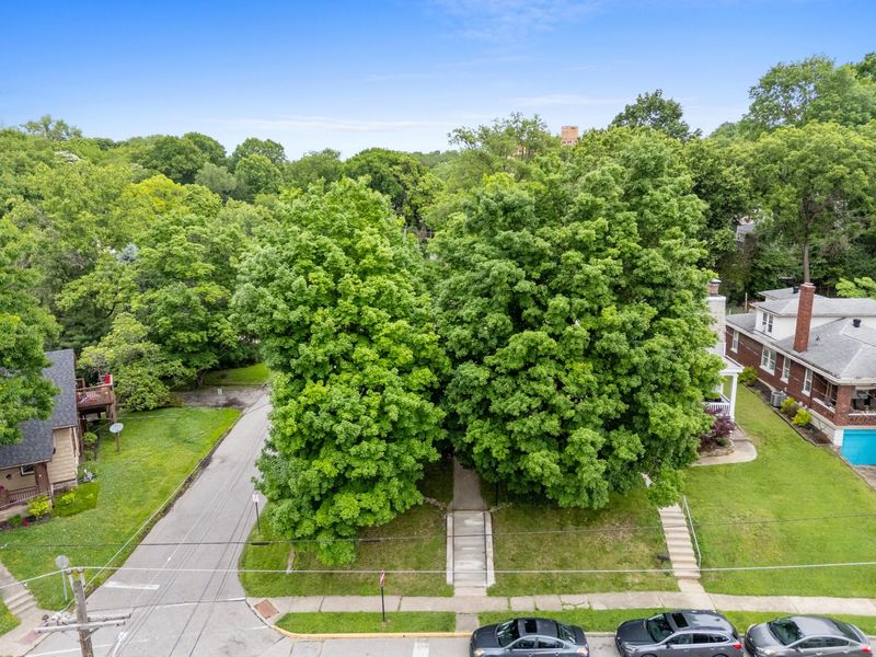 316 Linden Avenue, Southgate, KY 41071 Photo 41
