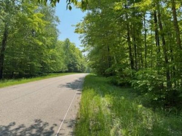 LOT 17 Co Rd 98, McMillan, MI 49853