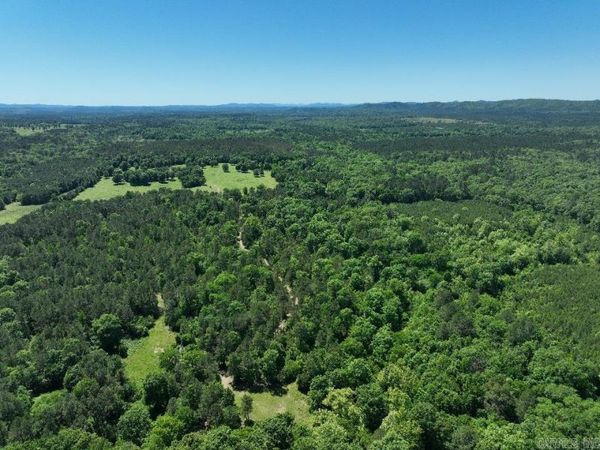 Point Cedar, AR 71921