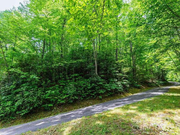 46 Widgeon Way , Whittier, NC 28789