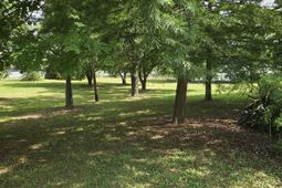 1193 Harvest Road  photo 4