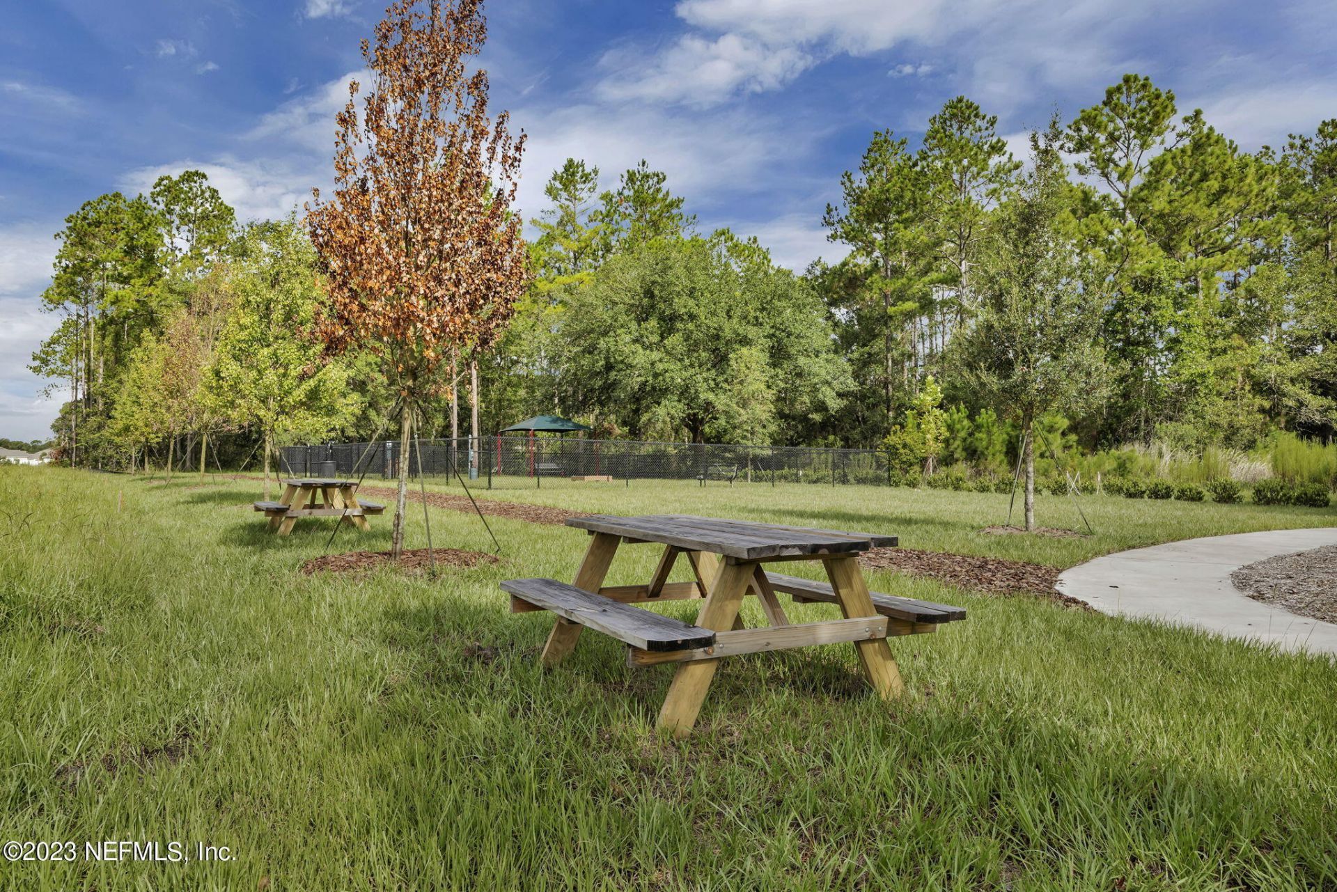 868 Rooster Hollow Way, Middleburg, FL 32068 Photo