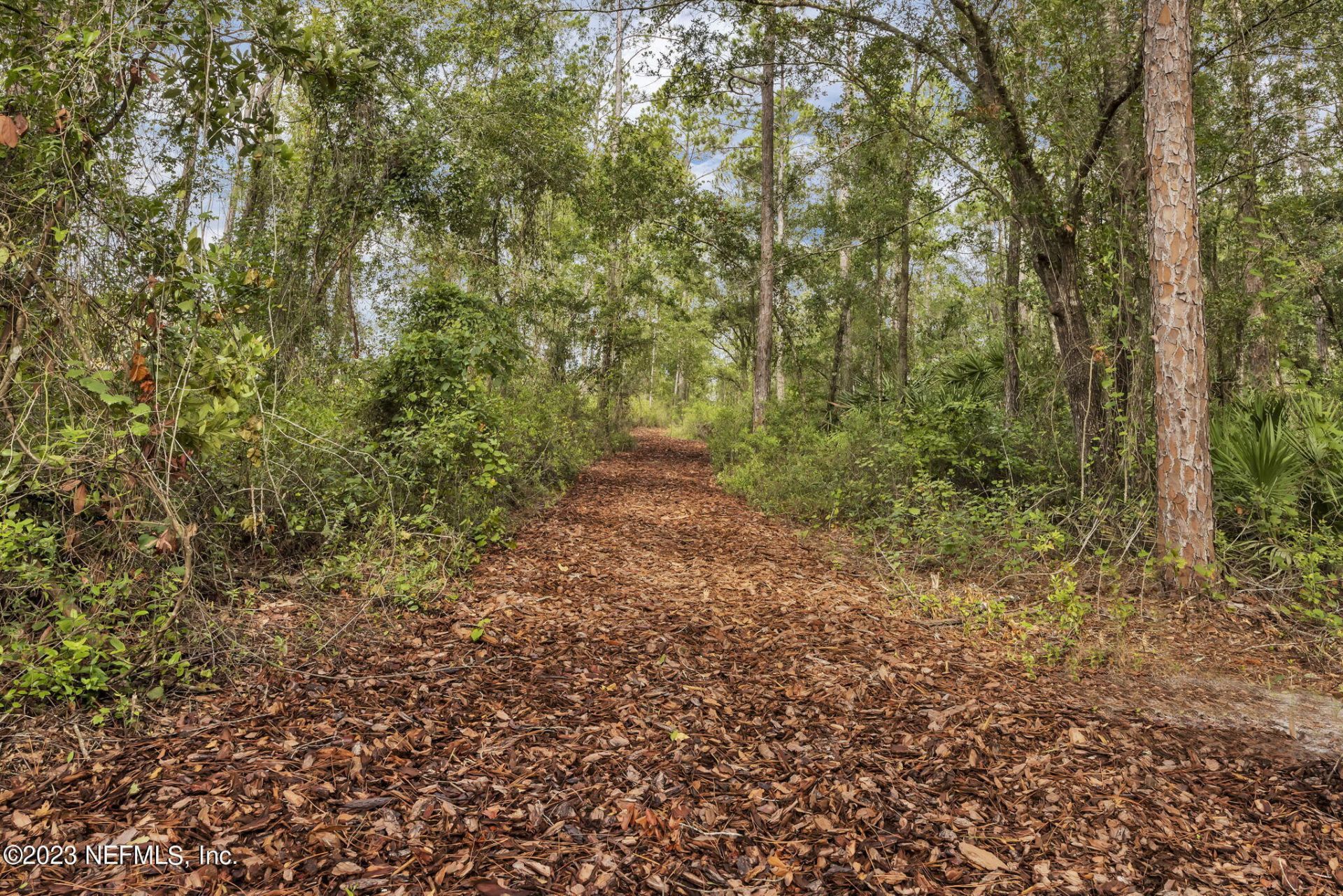868 Rooster Hollow Way, Middleburg, FL 32068 Photo