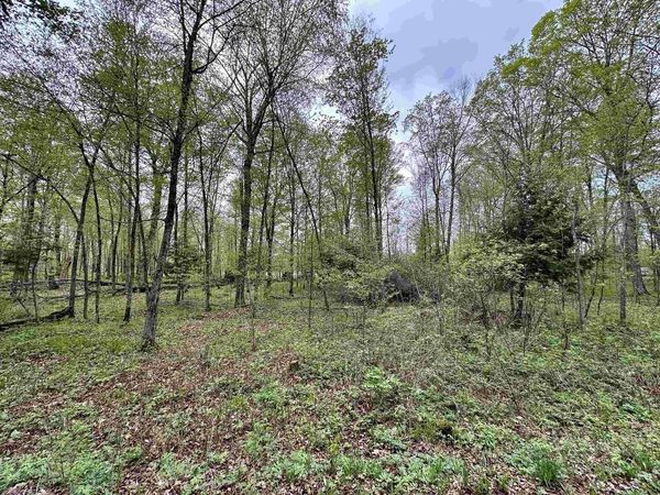Lot 61 CHIP N DALE DRIVE, Pickerel, WI 54465