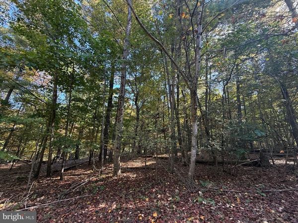 102 SOUTHWOOD, CROSS JUNCTION, VA 22625