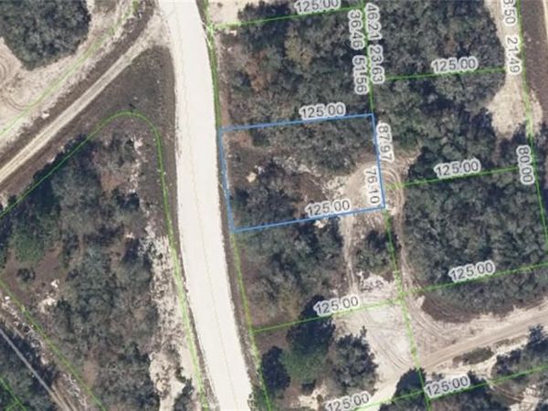 333 Wildwood DR , LAKE PLACID, FL 33852
