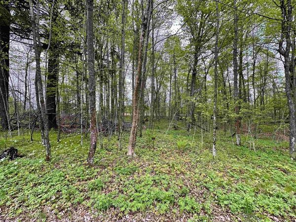 Lot 36 FAIRWAY DRIVE, Pickerel, WI 54465