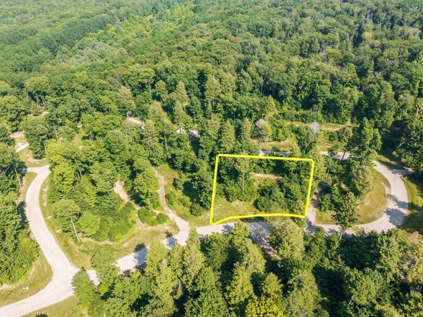 Park Ridge, Frankfort, MI 49635