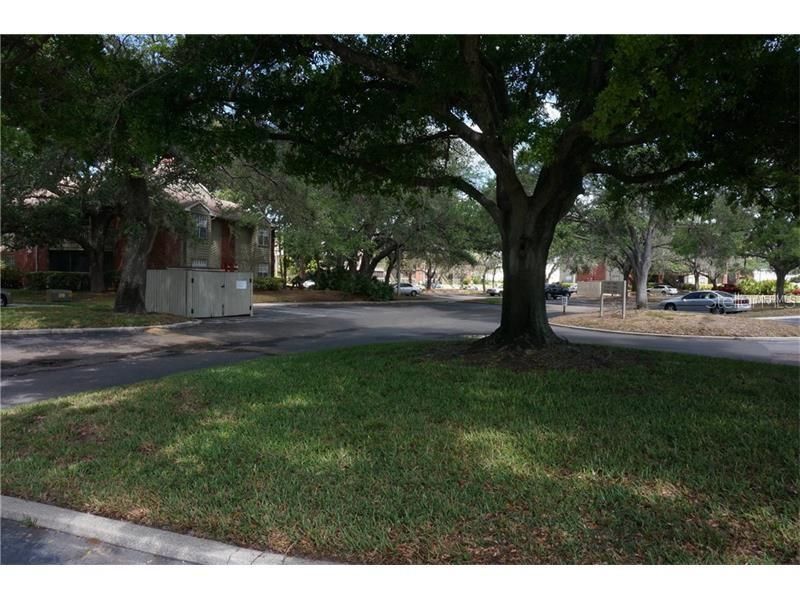 9100 Dr Martin Luther King Jr Street N, Unit 1411, Saint Petersburg, FL 33702 Photo