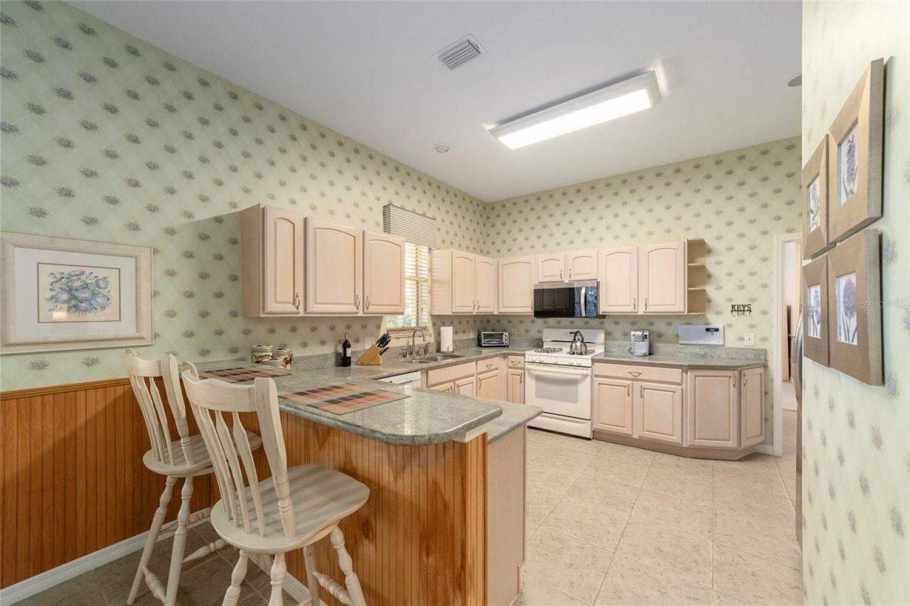 1074 Avenida Sonoma, Lady Lake, FL 32159 Photo