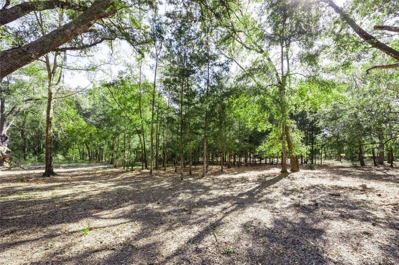 6320 SE 91st Trail, Trenton, FL 32693 Photo