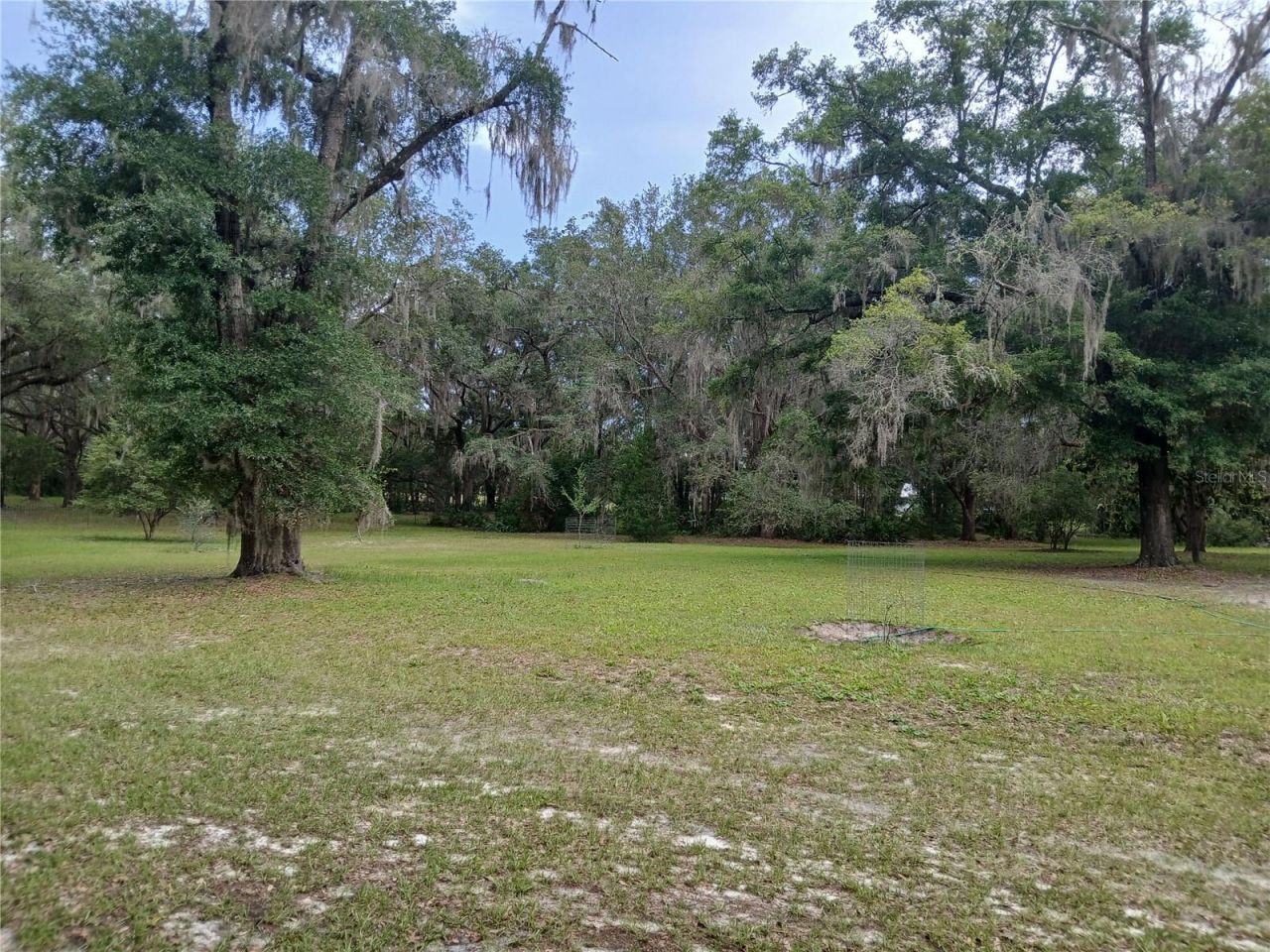 6320 SE 91st Trail, Trenton, FL 32693 Photo
