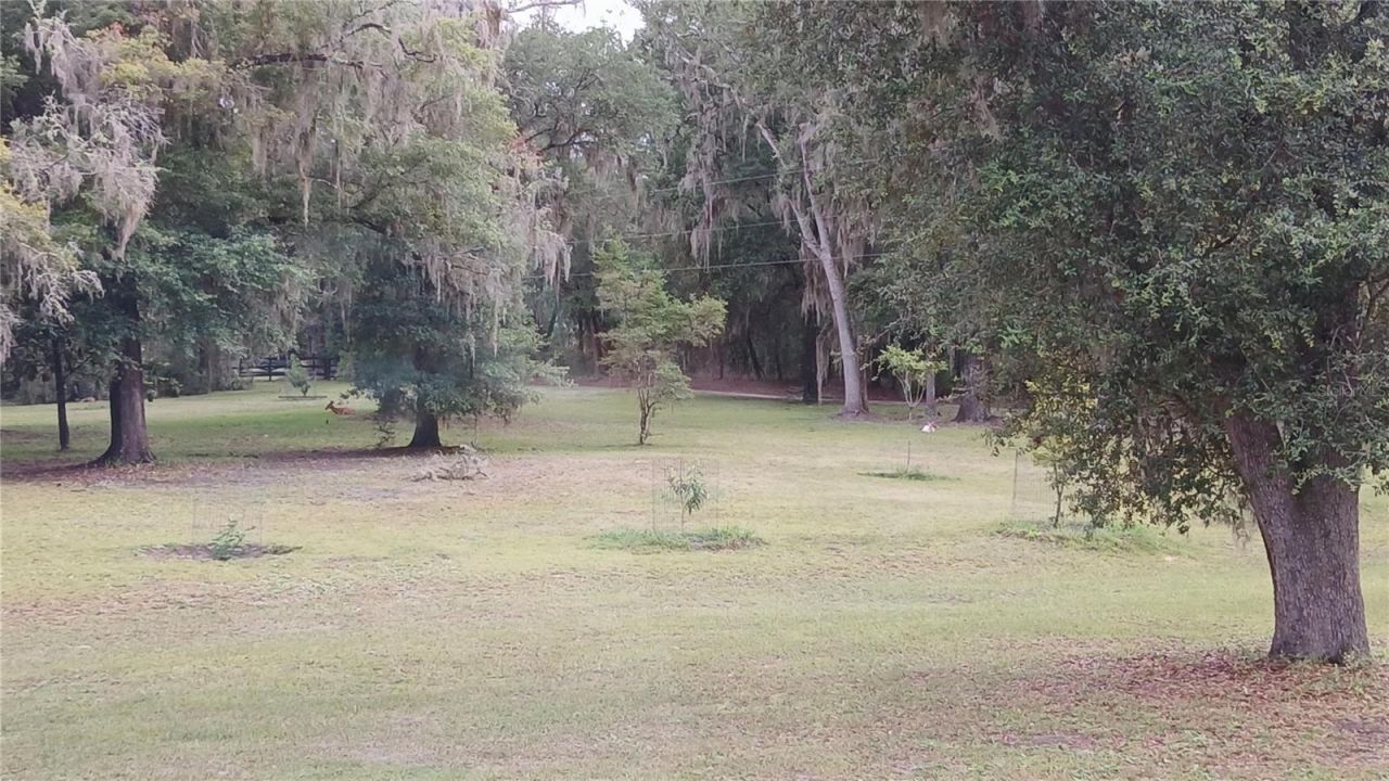 6320 SE 91st Trail, Trenton, FL 32693 Photo