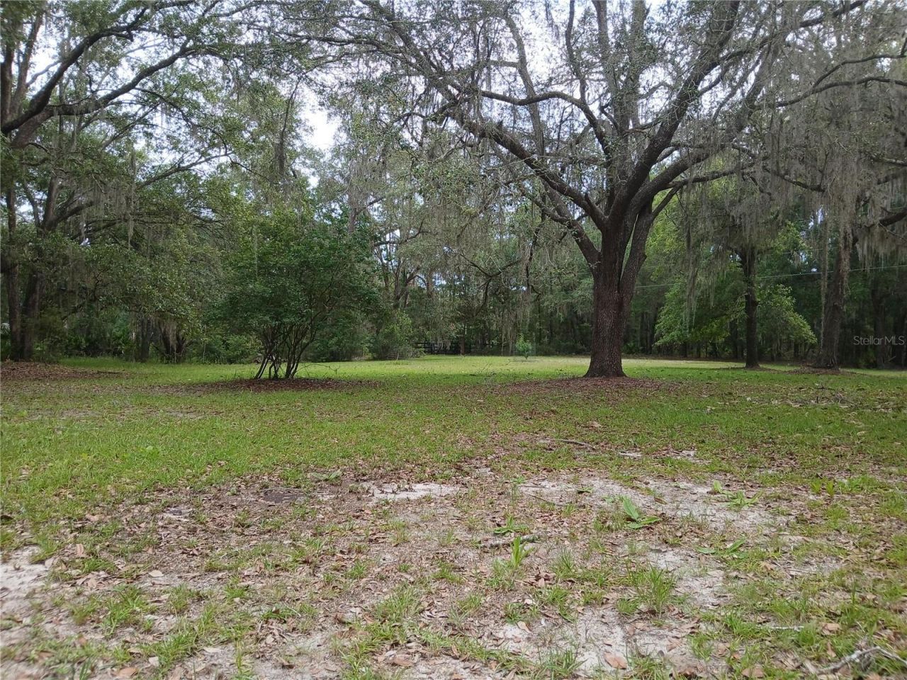 6320 SE 91st Trail, Trenton, FL 32693 Photo