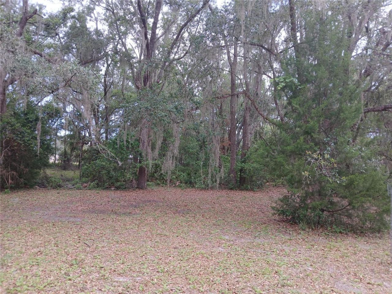 6320 SE 91st Trail, Trenton, FL 32693 Photo