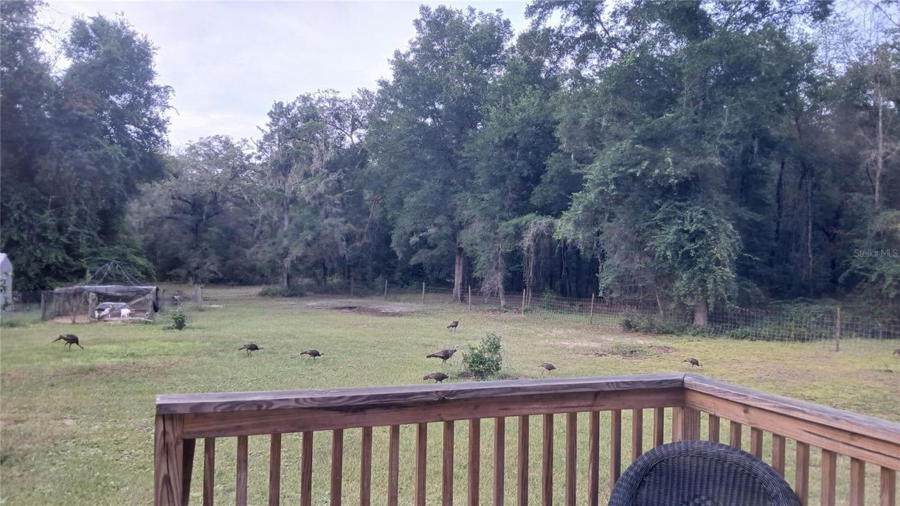 6320 SE 91st Trail, Trenton, FL 32693 Photo