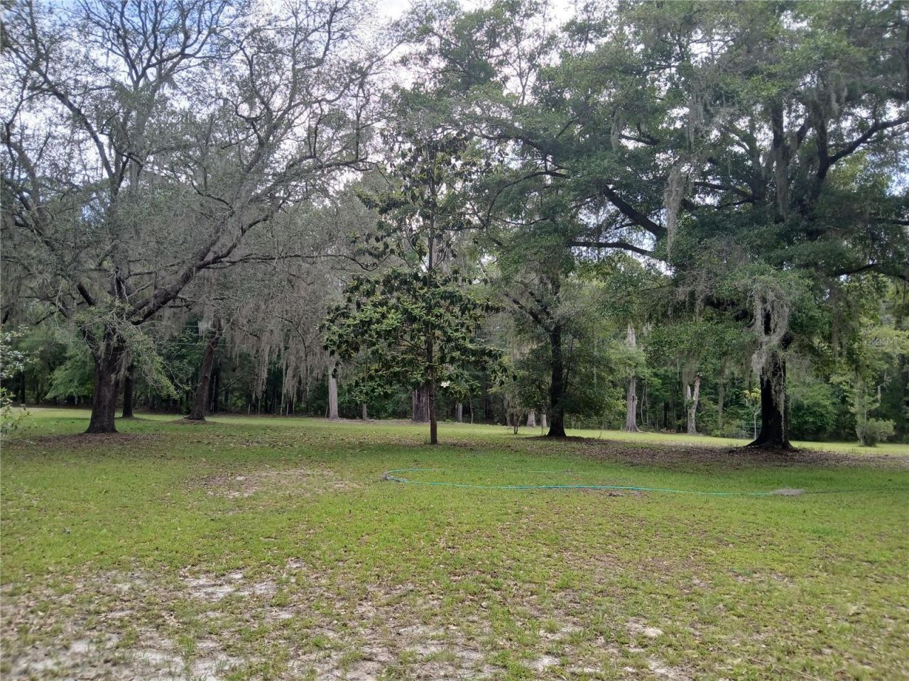 6320 SE 91st Trail, Trenton, FL 32693 Photo