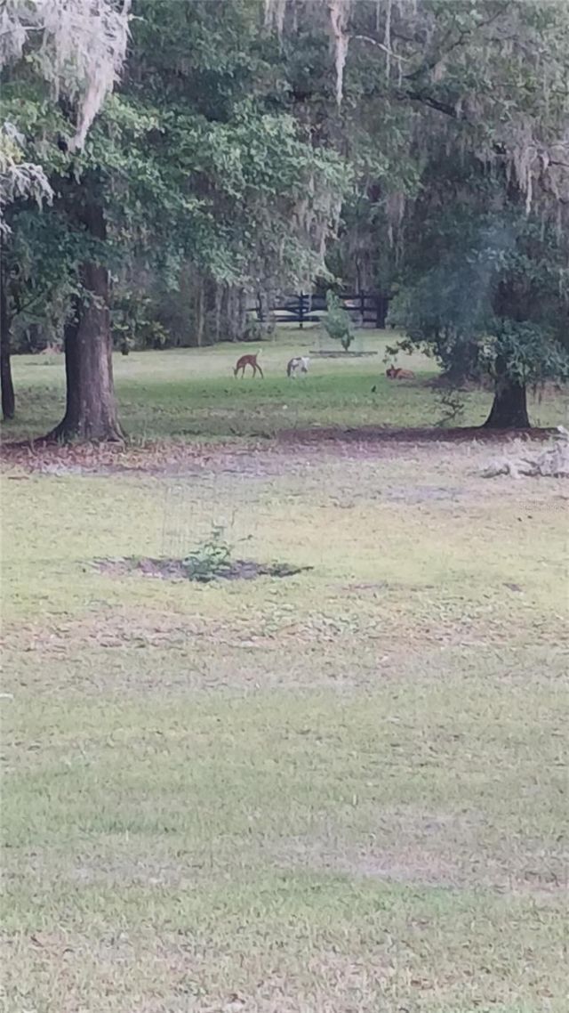 6320 SE 91st Trail, Trenton, FL 32693 Photo