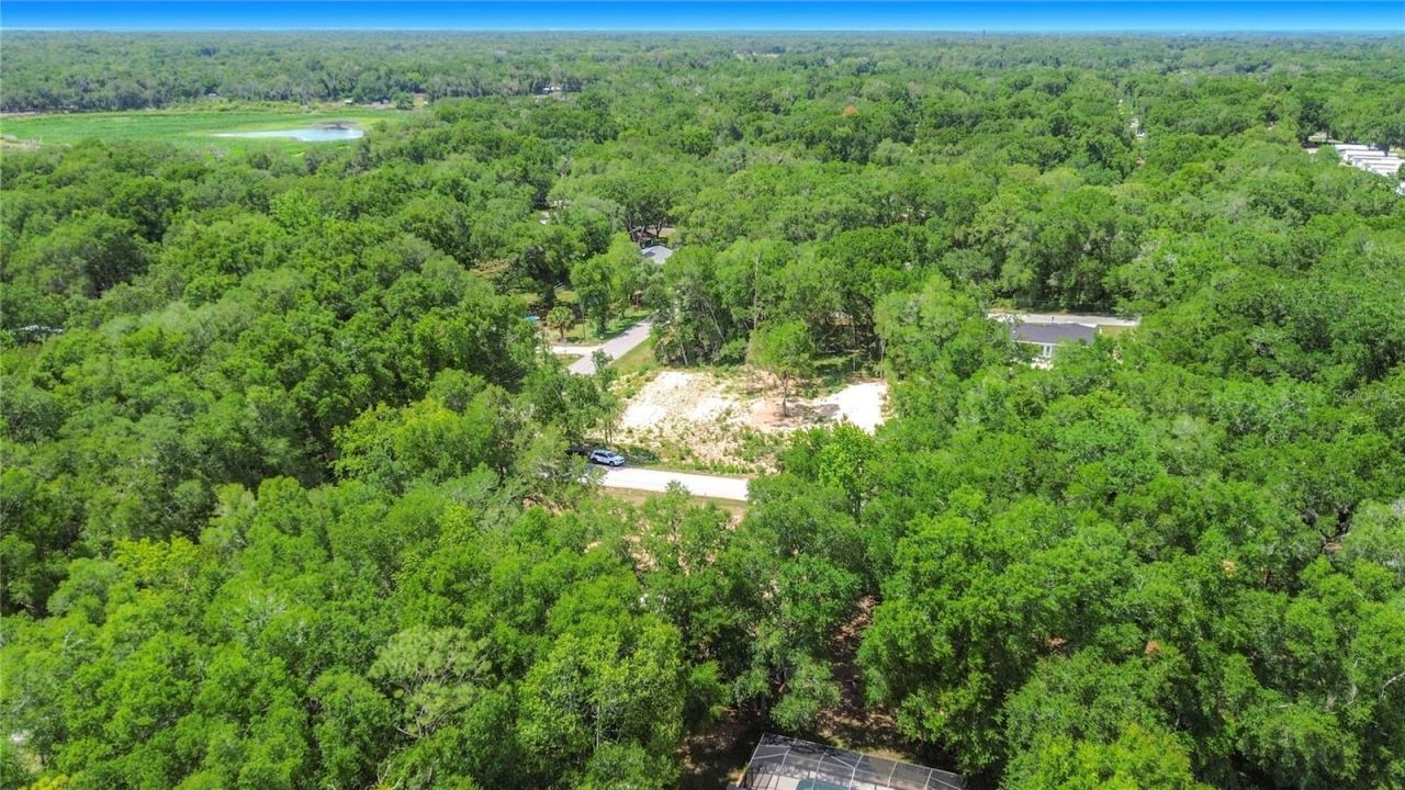 3848 E Wilma Street , Inverness, FL 34453 Photo
