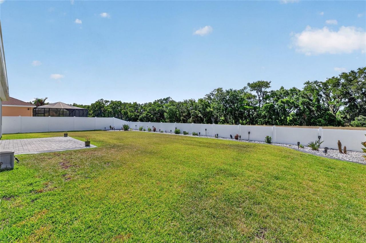 319 Travelers Creek Drive, Auburndale, FL 33823 Photo